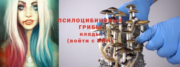 прущие грибы Бронницы
