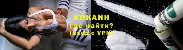 прущие грибы Бронницы