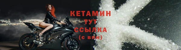 прущие грибы Бронницы