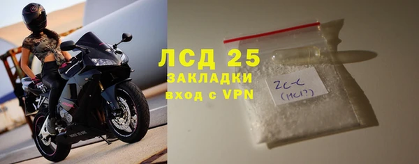 дурь Бородино