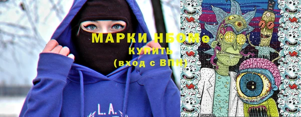 дурь Бородино