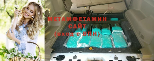 прущие грибы Бронницы
