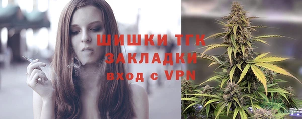прущие грибы Бронницы