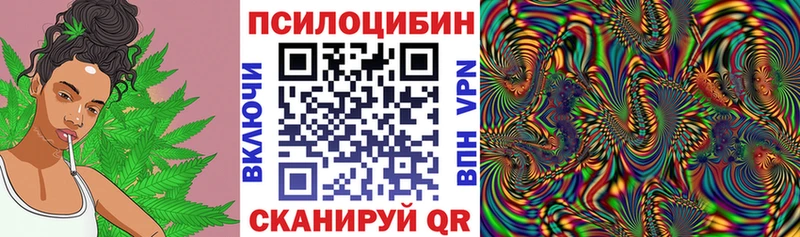 Галлюциногенные грибы Psilocybine cubensis  где купить   Инта 